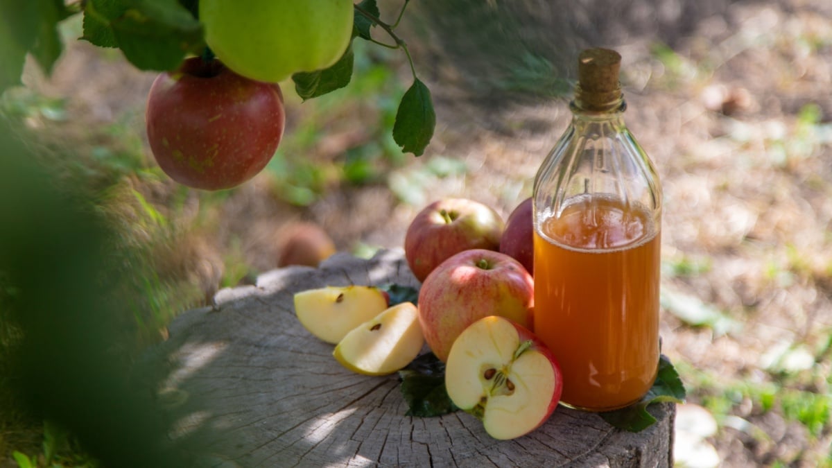 Uncooked Cider Is Simply As Unsafe As Uncooked Milk